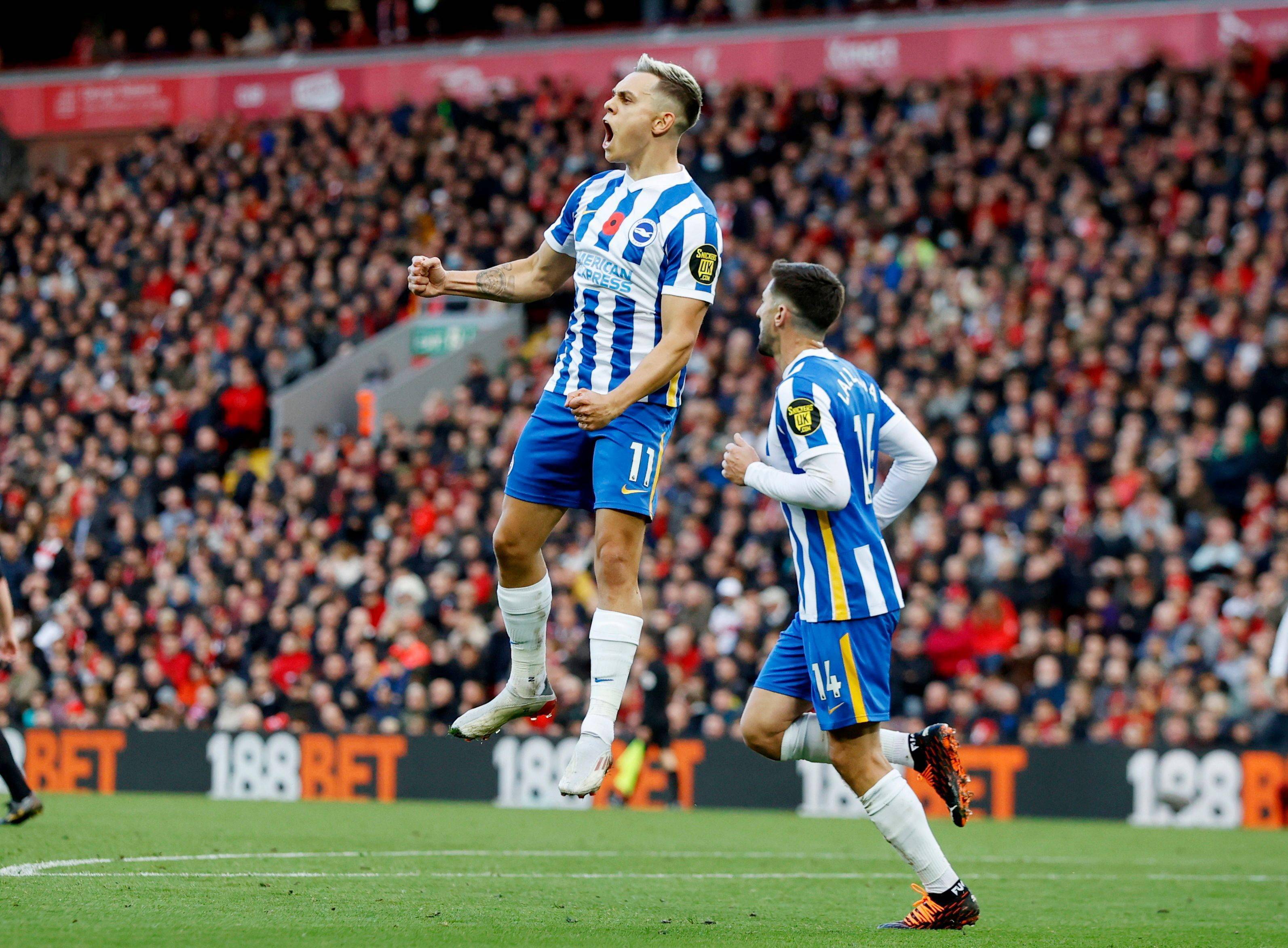 润不仅面对 润不仅面对